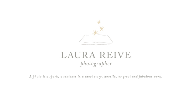 Laura Reive ~ Ontario Newborn, Baby & Family Photographer logo